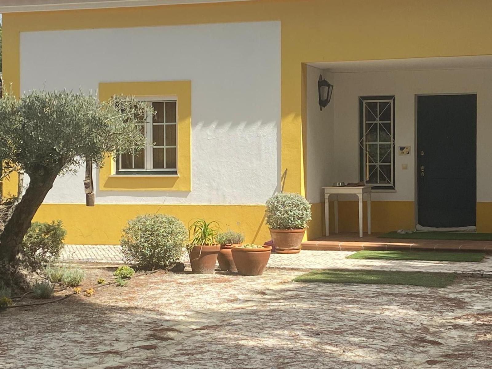 Herdade De Montalvo - Comporta Exterior foto